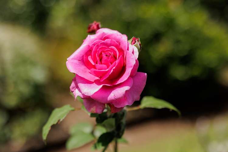 482 Puketotara Road Kerikeri Surrounds_34