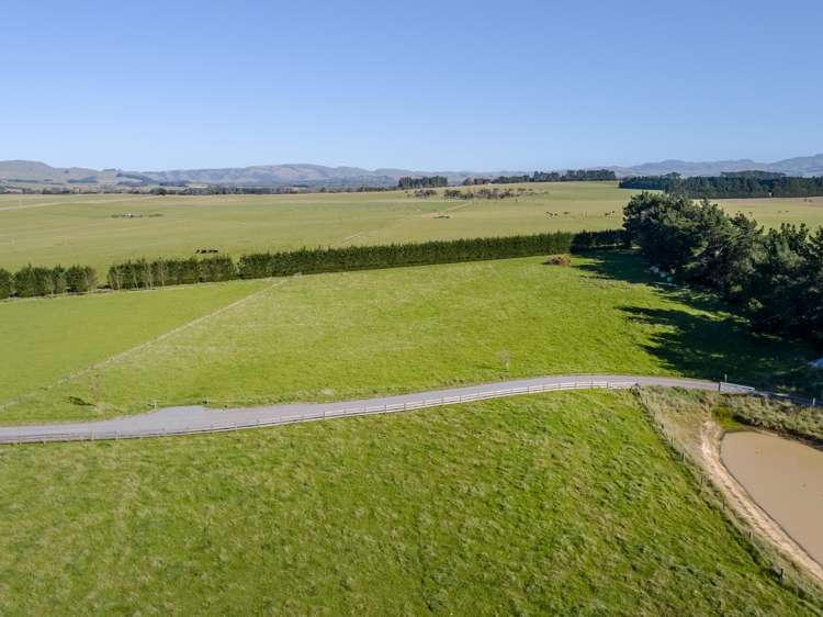 Phelps Way Morisons Bush_6