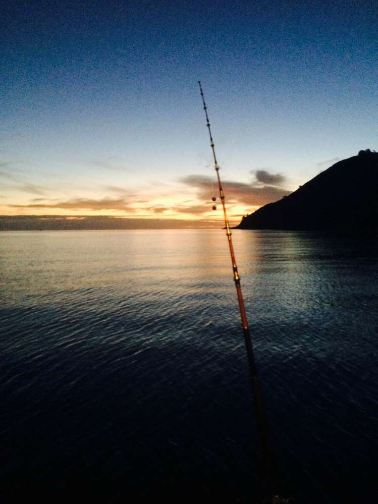 39 Sandhills Road Great Barrier Island (Aotea Island)_33