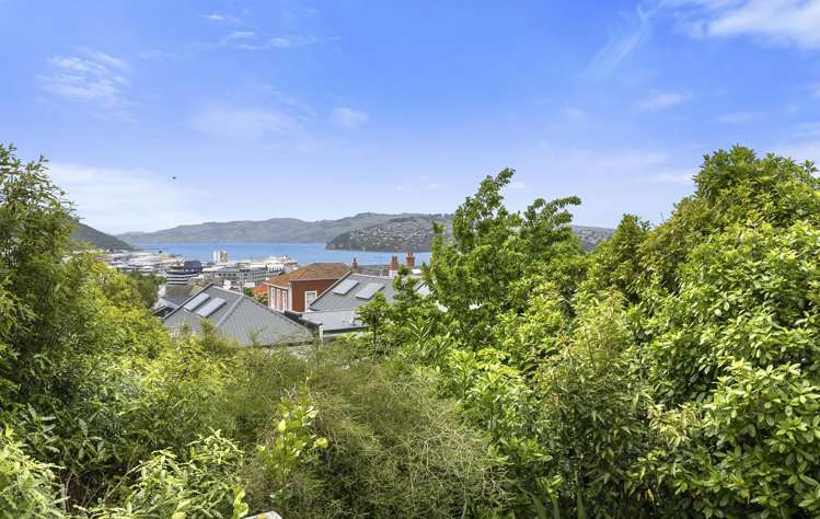 37 Sutherland Street Dunedin Central_14