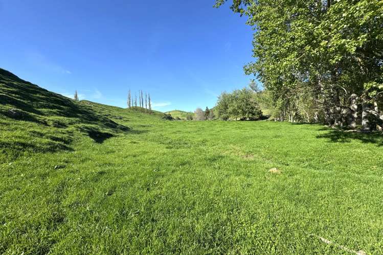 161 Veale Road Otorohanga_23