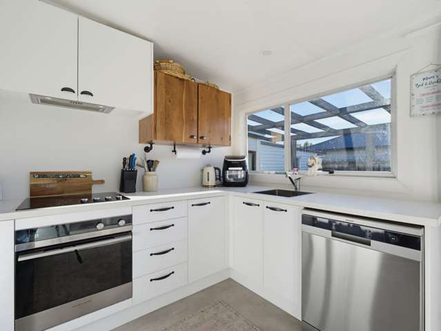 42 Thomson Street Tinwald_2