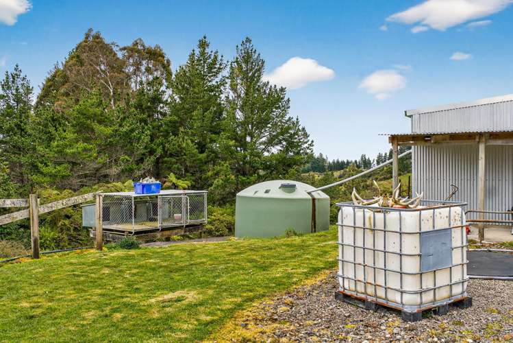 3086 Tuahu Road Tauwhareparae_29