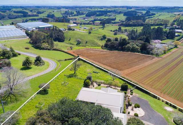 17 Shipherd Road Puni_1