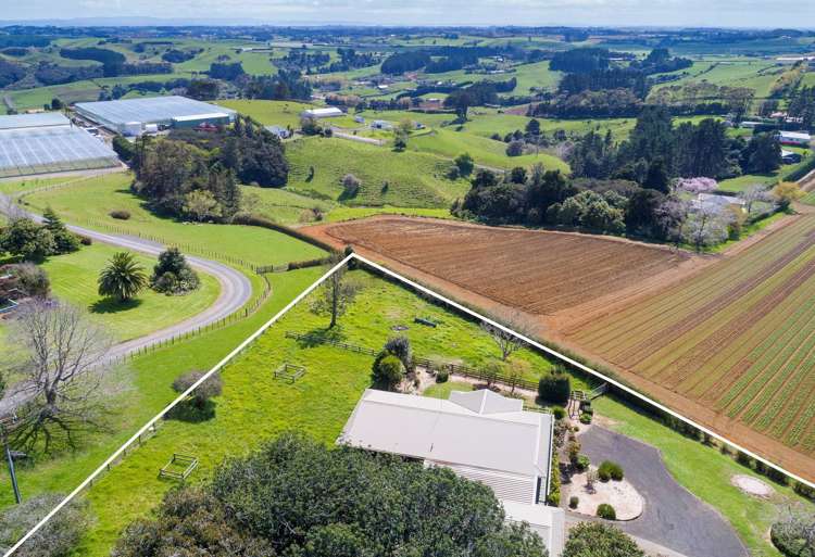 17 Shipherd Road Puni_1