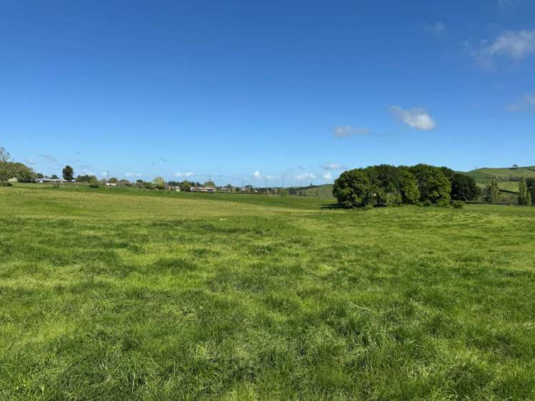 437 Tauhei Road Morrinsville_31