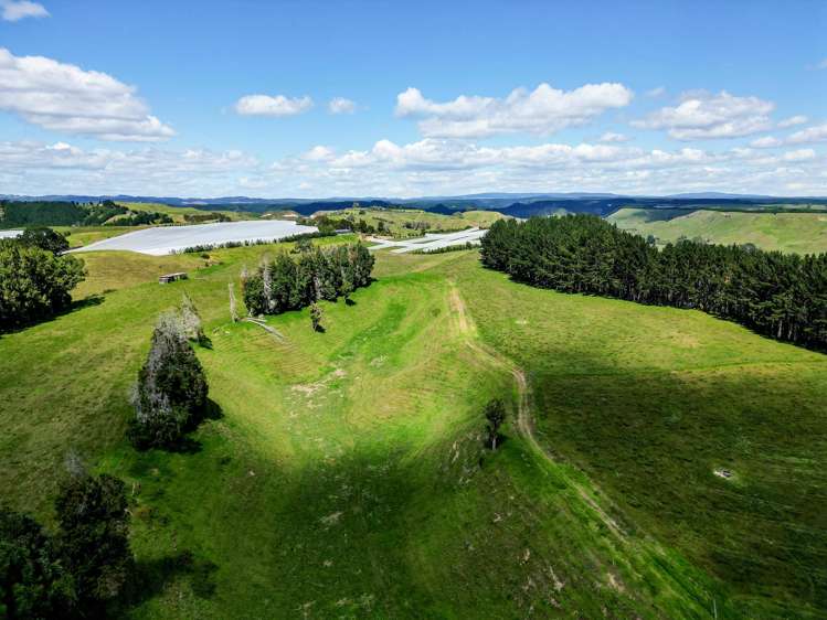 1-6/461 Otamarakau Valley Road Pukehina_24