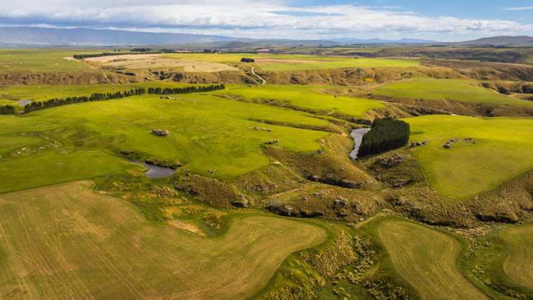 Address withheld Middlemarch_21