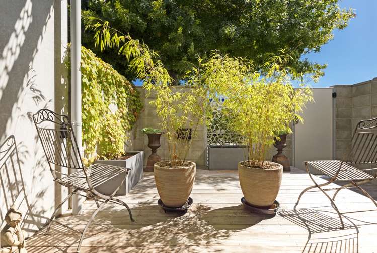 51a Collingwood Street Nelson City_6