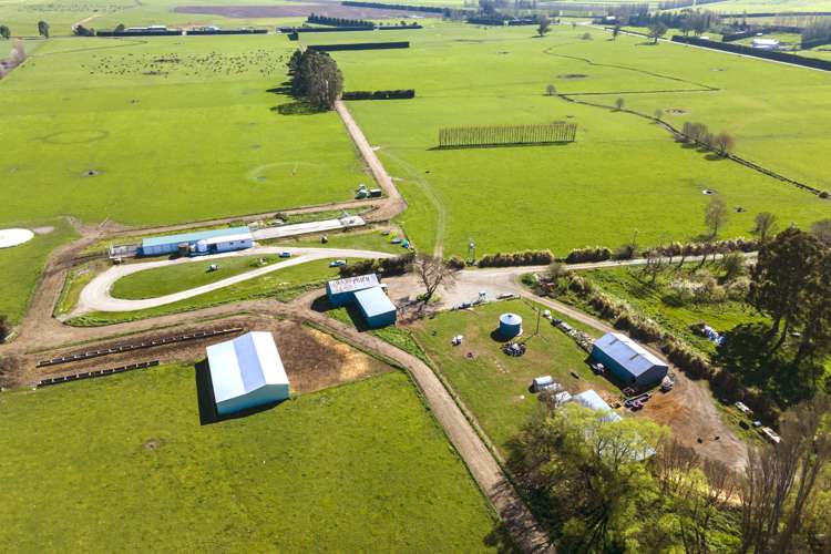 94 Brogdens Road Lowcliffe_7