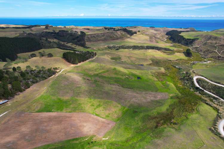 Babylon Coast Road Dargaville_11