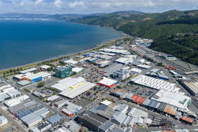 112 Jackson Street Petone_4