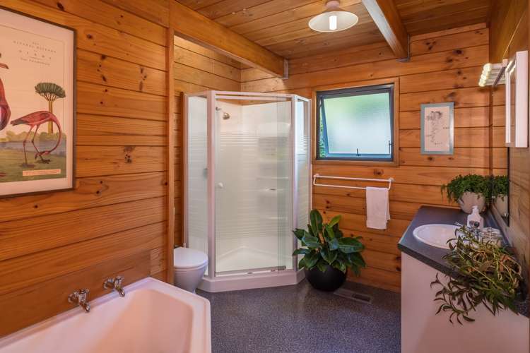 48a Darlington Road Miramar_8