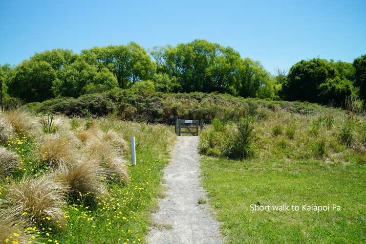 48 Aroha Street Pegasus_10