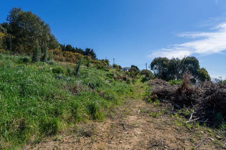 1 Elizabeth Street Bluff_10