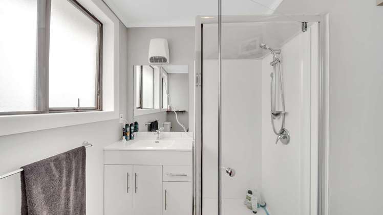 106 Ashmore Street Halfway Bush_12