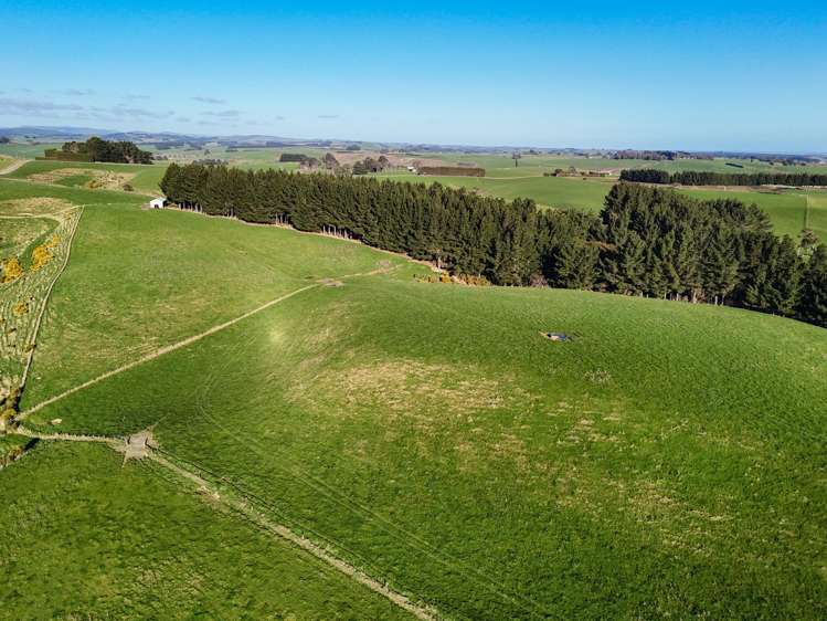 92 Carnie Road Mataura Island_11