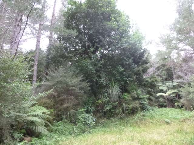 37 Makene Road Mangamuka_3