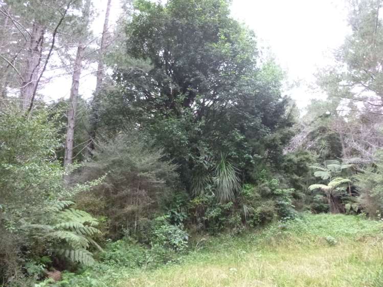 37 Makene Road Mangamuka_3