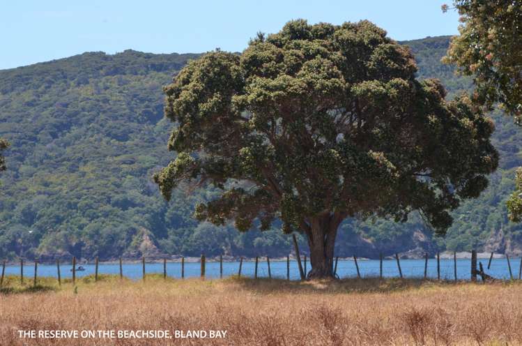 638 Whangaruru North Road Russell Surrounds_18