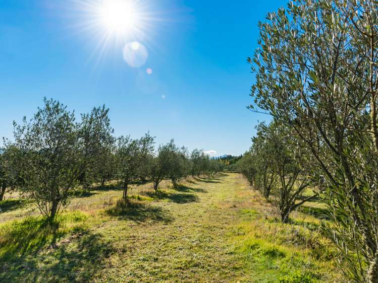 238 Shandon Road Waihopai Valley_23