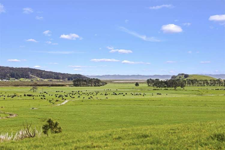 3884 Kaipara Coast Highway Mangakura_10