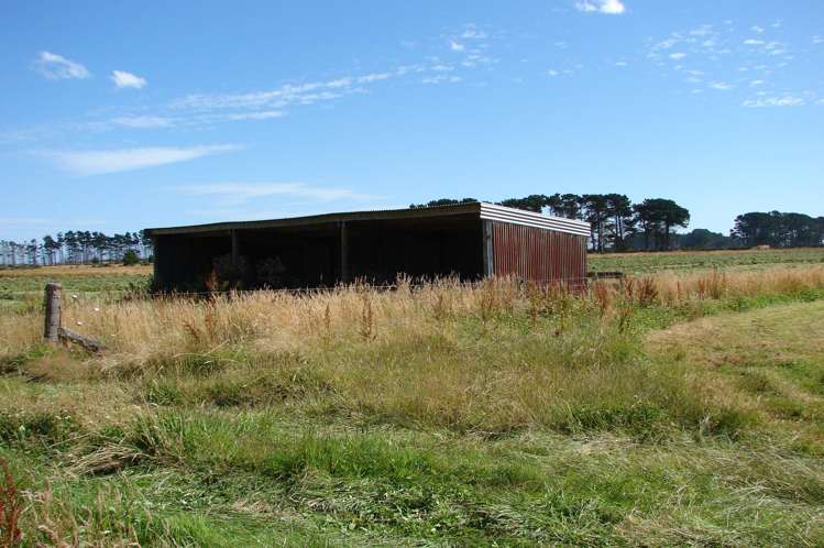 194 Talls Road Gorge Road_4