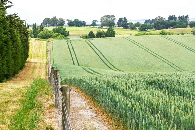 142 Deep Creek Road Waimate_9