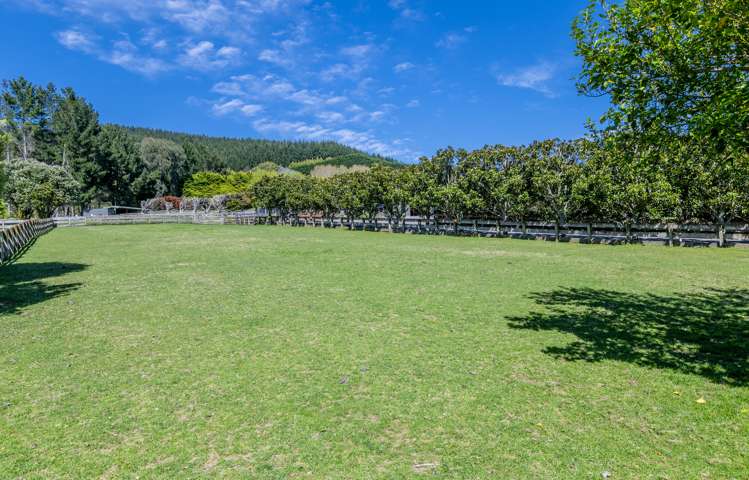 33 Eucalyptus Way Paraparaumu_18