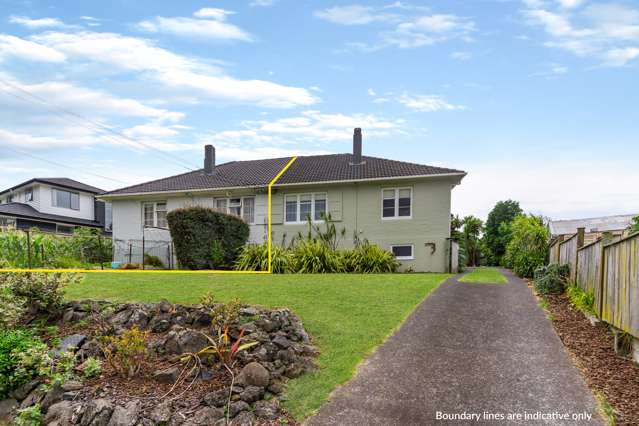 3 Scout Avenue Mount Roskill_1