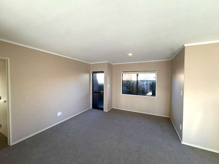 111a Avondale Road Greenmeadows_5