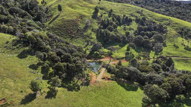 140 Kenana Road Mangonui Surrounds_17