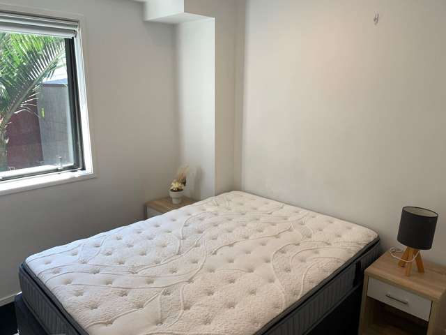 2C/6 Winchester Street Grey Lynn_4