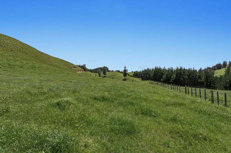 26 Settlement Road Pikowai_13