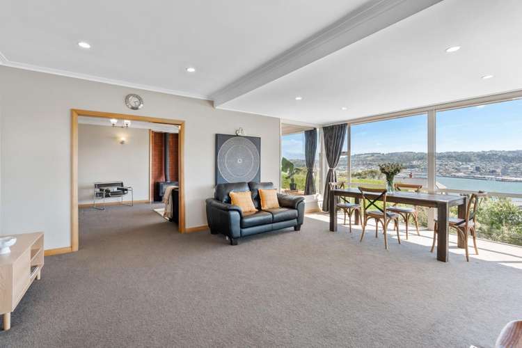103 Larnach Road_5
