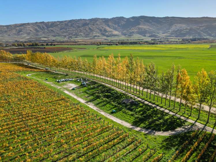 198/297 Loop Road Bendigo_8