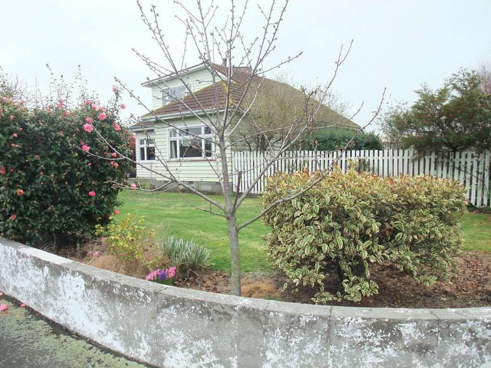 542 Cranford Street Papanui_0