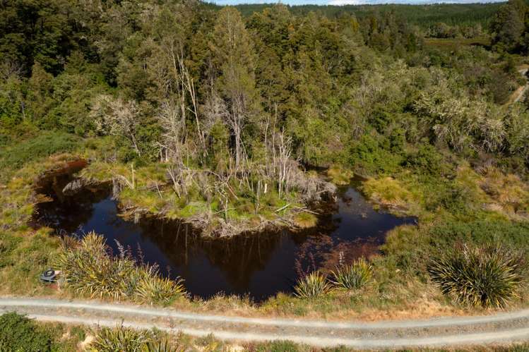 Waiwhero Road Ngatimoti_5