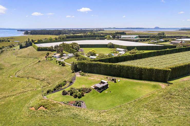 The one-bedroom  43sqm container home at 115 Matahui Road, in Katikati, Western Bay of Plenty, is described by the listing agent as “super trendy”. Photo / Supplied