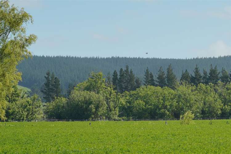 421 Birch Hill Road Okuku Waimakariri Houses for Sale One Roof
