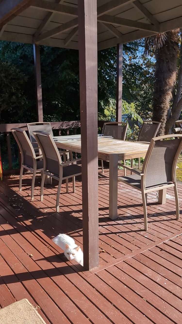 15 Loloma Drive Half Moon Bay_8