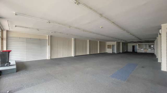 5 Princes Street Putaruru_2