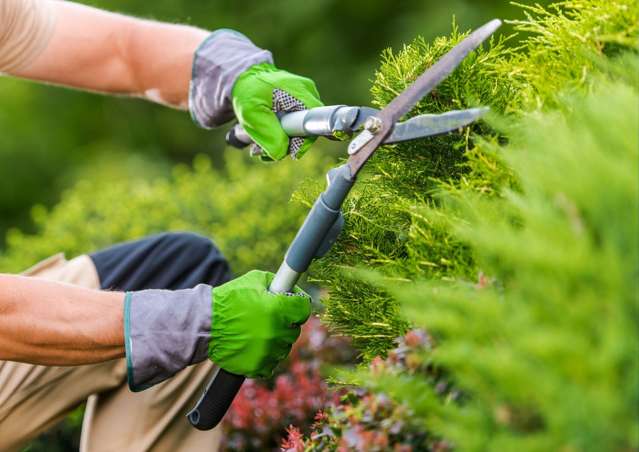 Address withheld Christchurch Surrounds_1