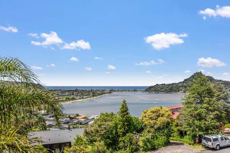 5 Pine Grove Tairua_15