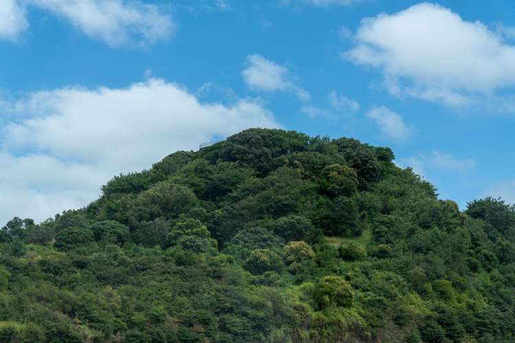 4 Te Tatua O Pere Road Three Kings_13