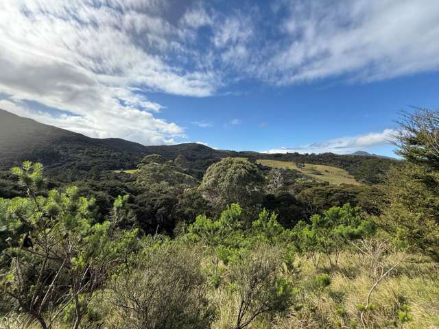 97 Medland Road Great Barrier Island_4