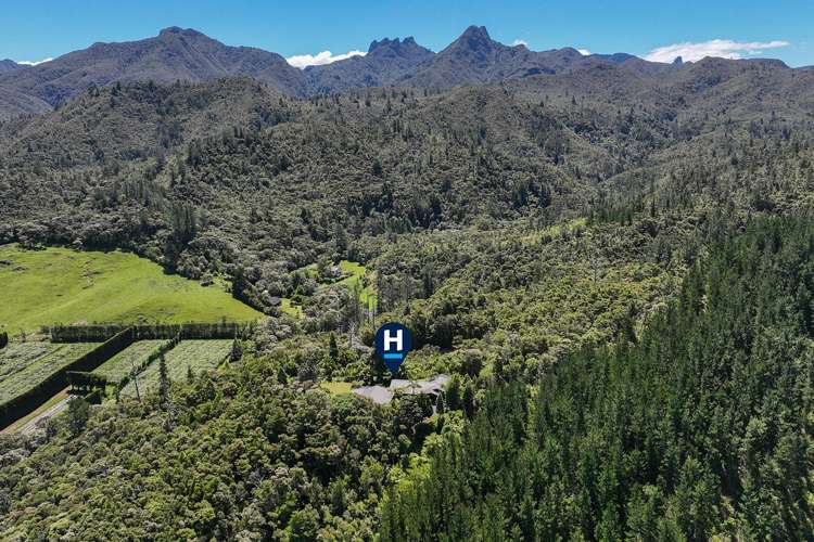 184 Hikuai School Road, Hikuai Tairua_23