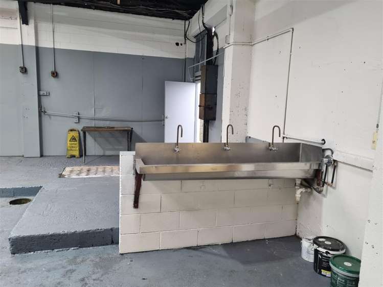 29 Battersea Street Sydenham_5