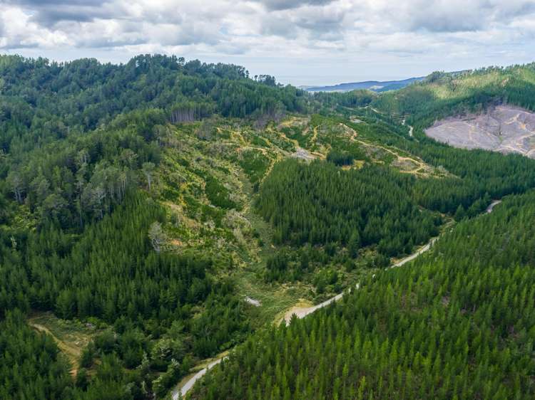 939 Kaiwhata Road Te Wharau_17