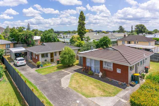 46 Livingstone Avenue Nawton_1
